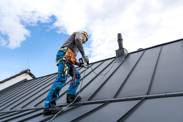 Best Sheet Metal Roofing  in Montara, CA
